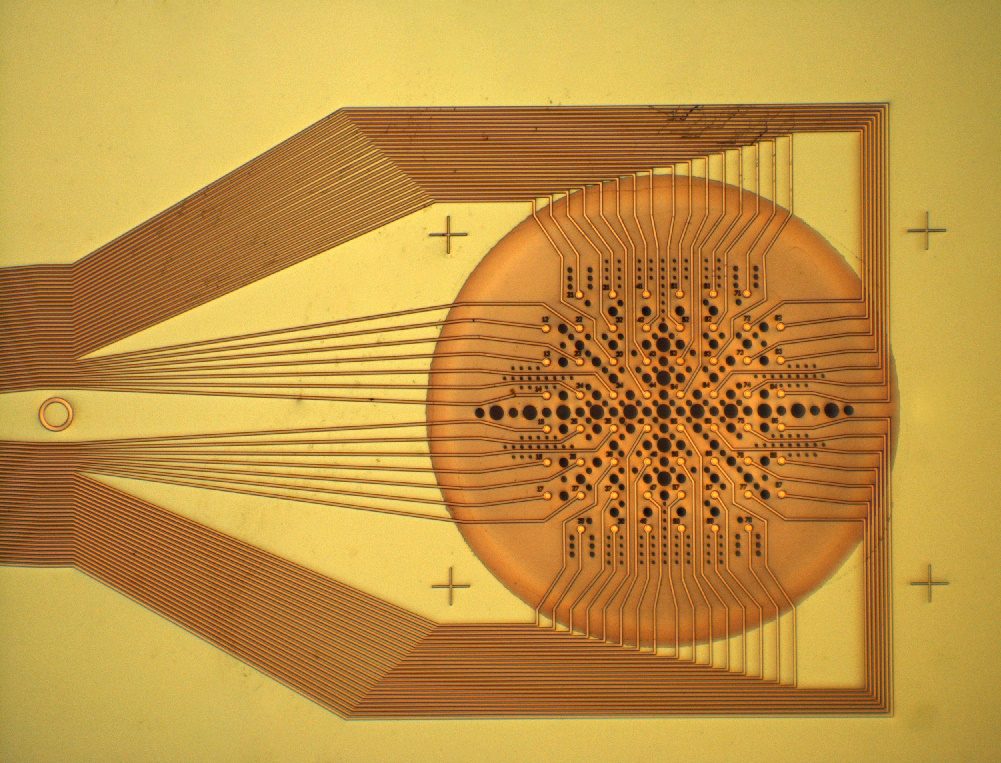 Custom acute recording electrode array