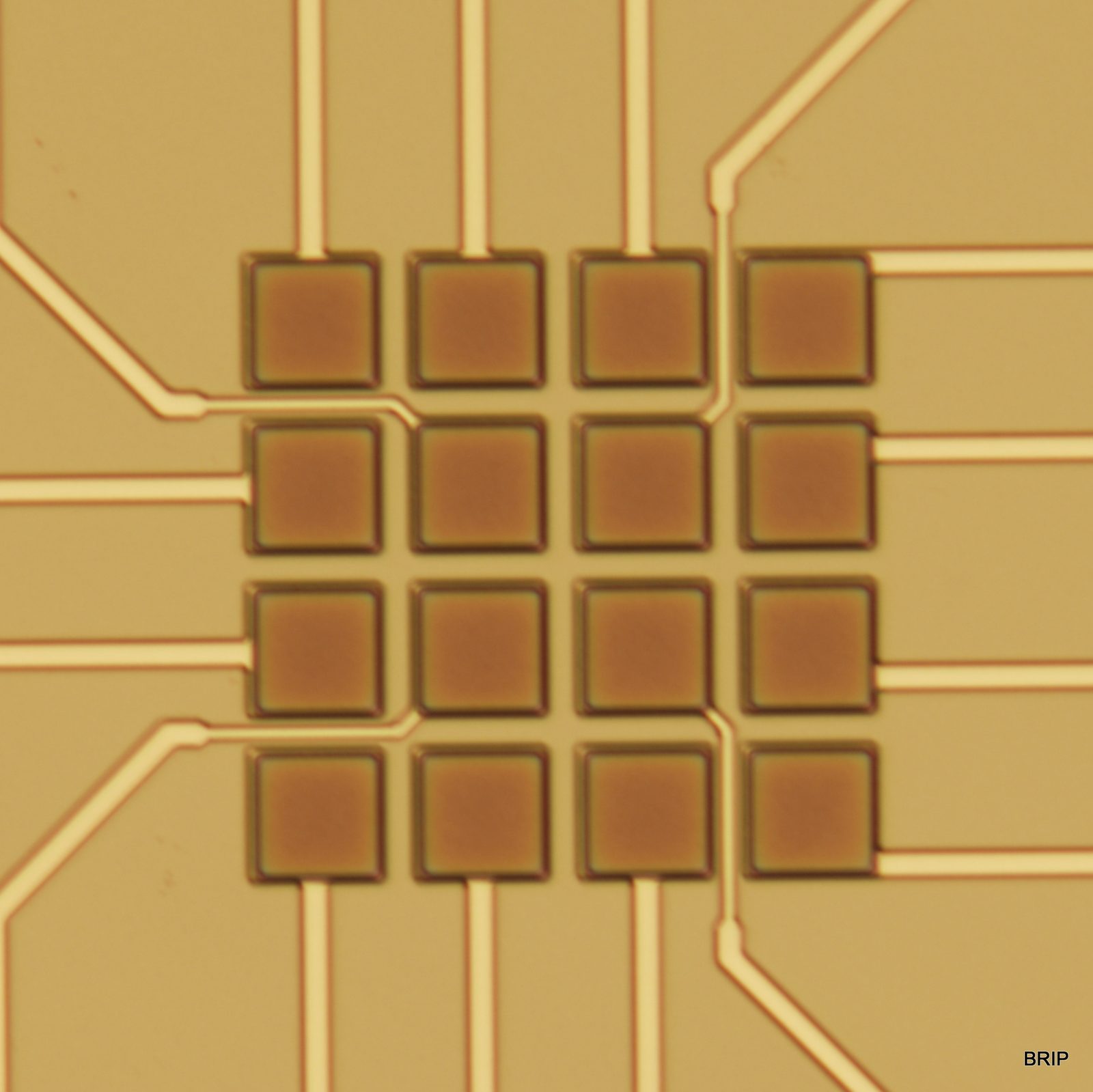 Gold microelectrode bond-pad array