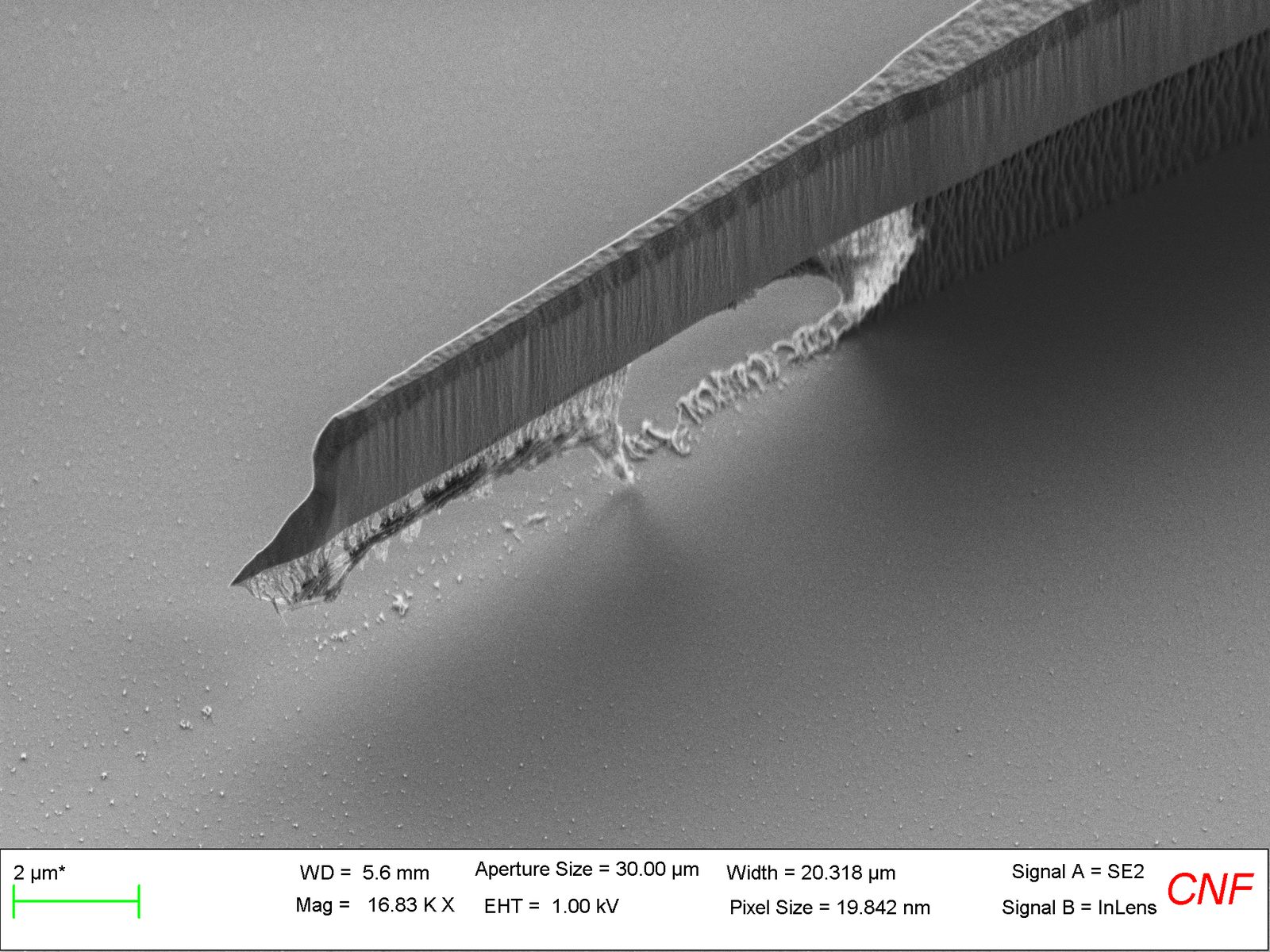SEM of a microfabricated cantilever edge
