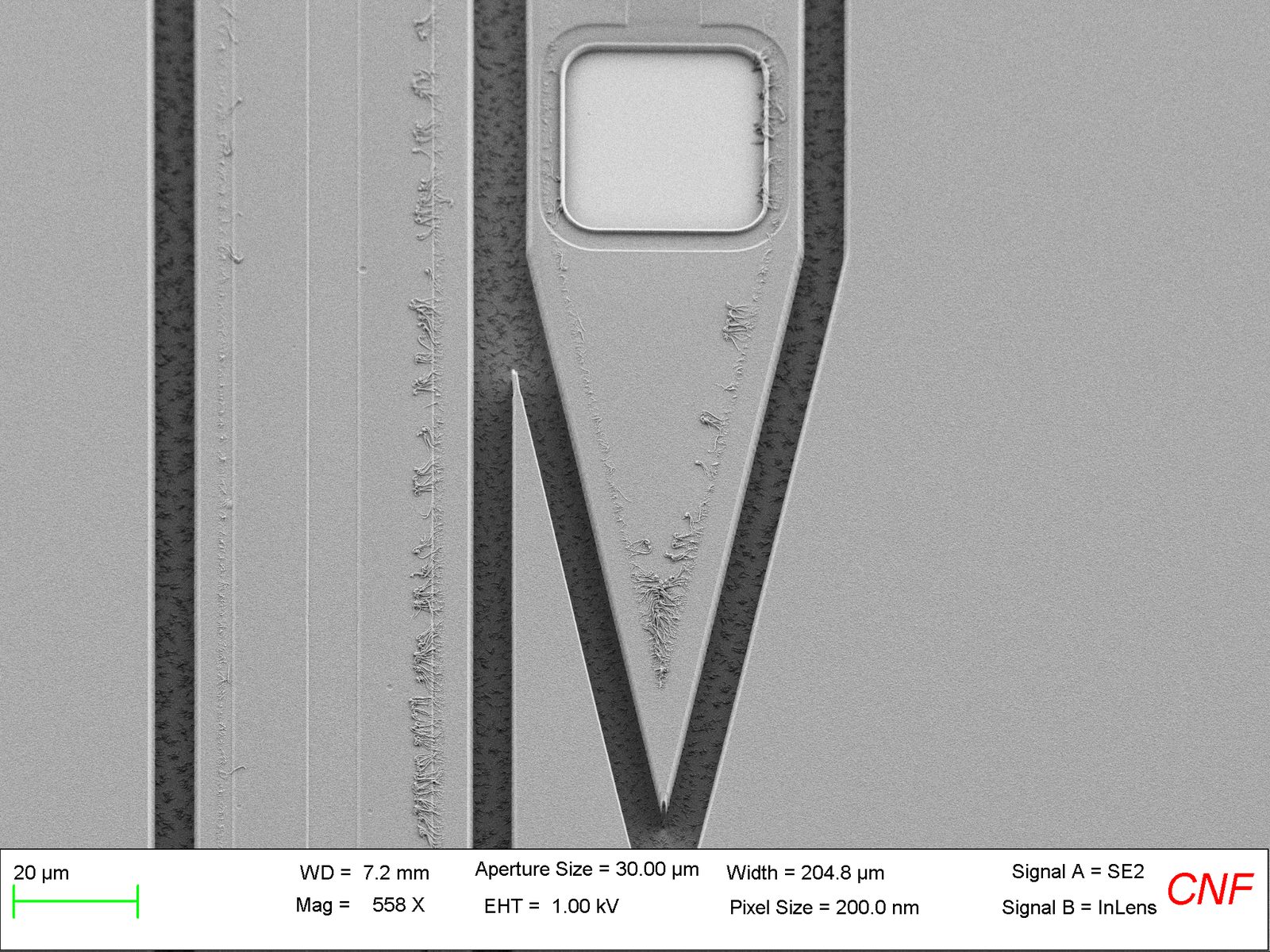 SEM of a microfabricated electrode tip