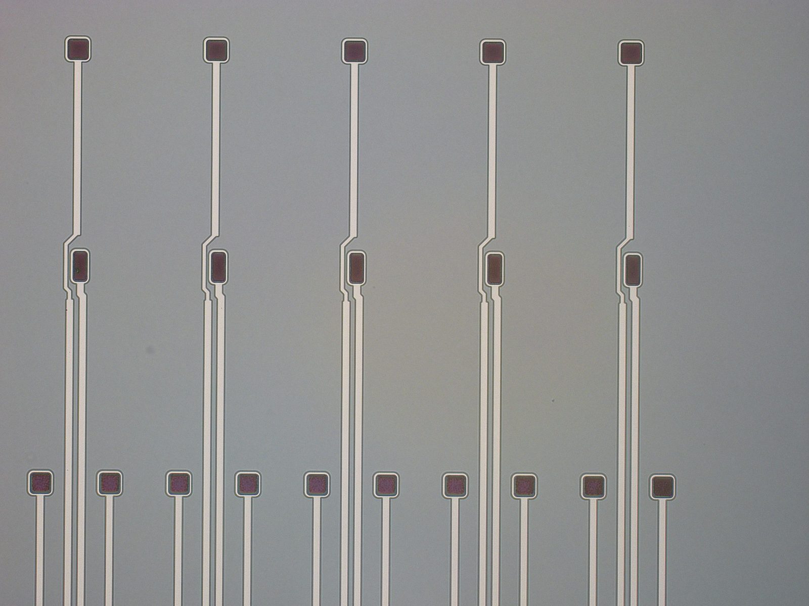 Microelectrode traces with contact pads