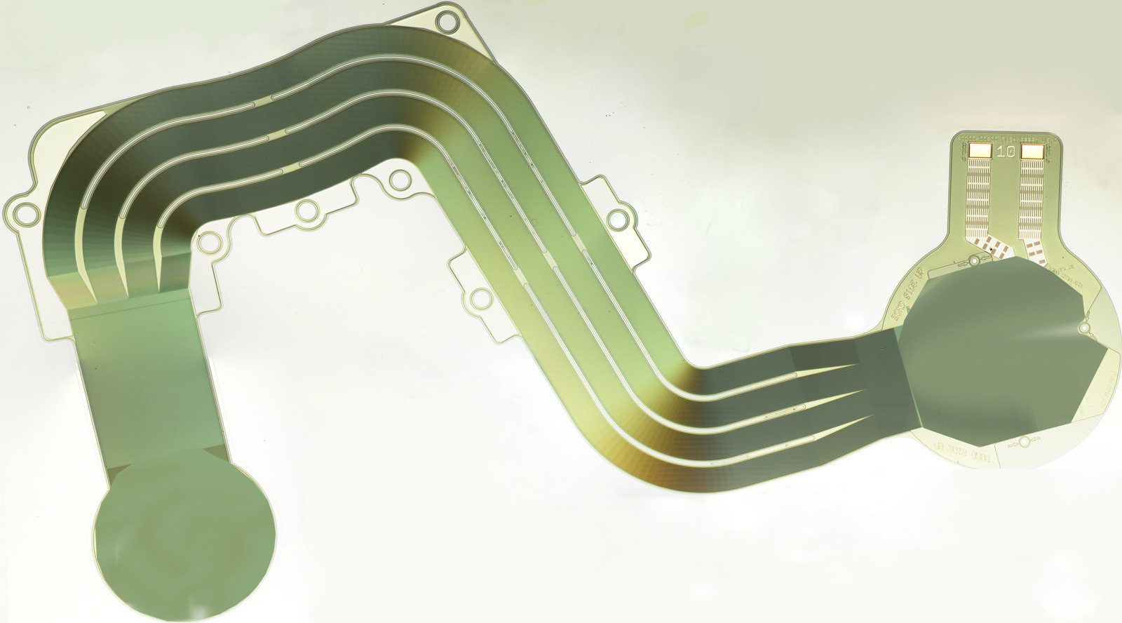 Flexible microelectrode array
