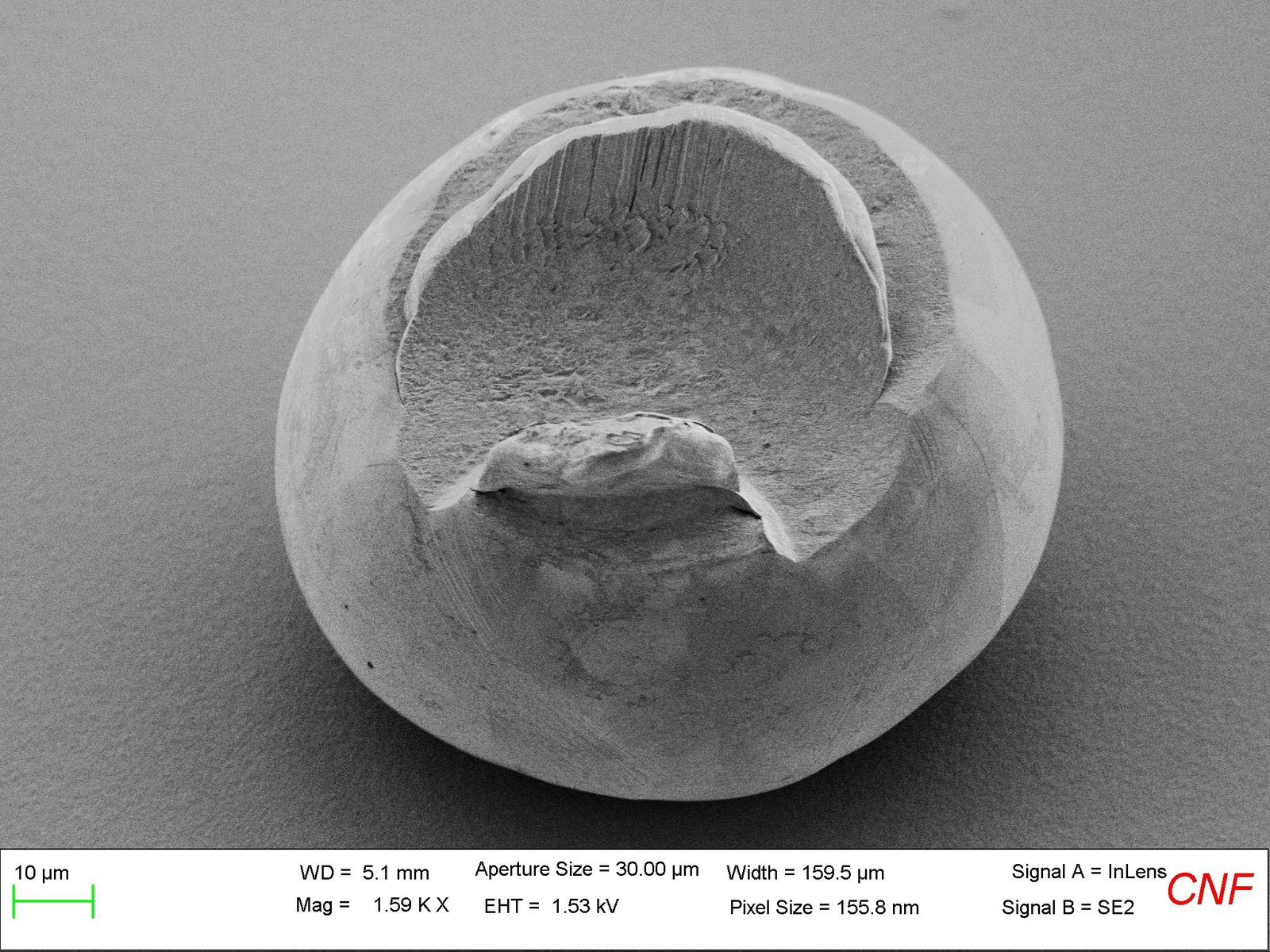Manually formed gold stud-bump