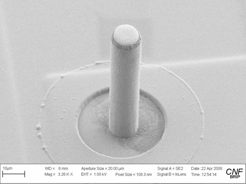 SEM of a microfabricated post