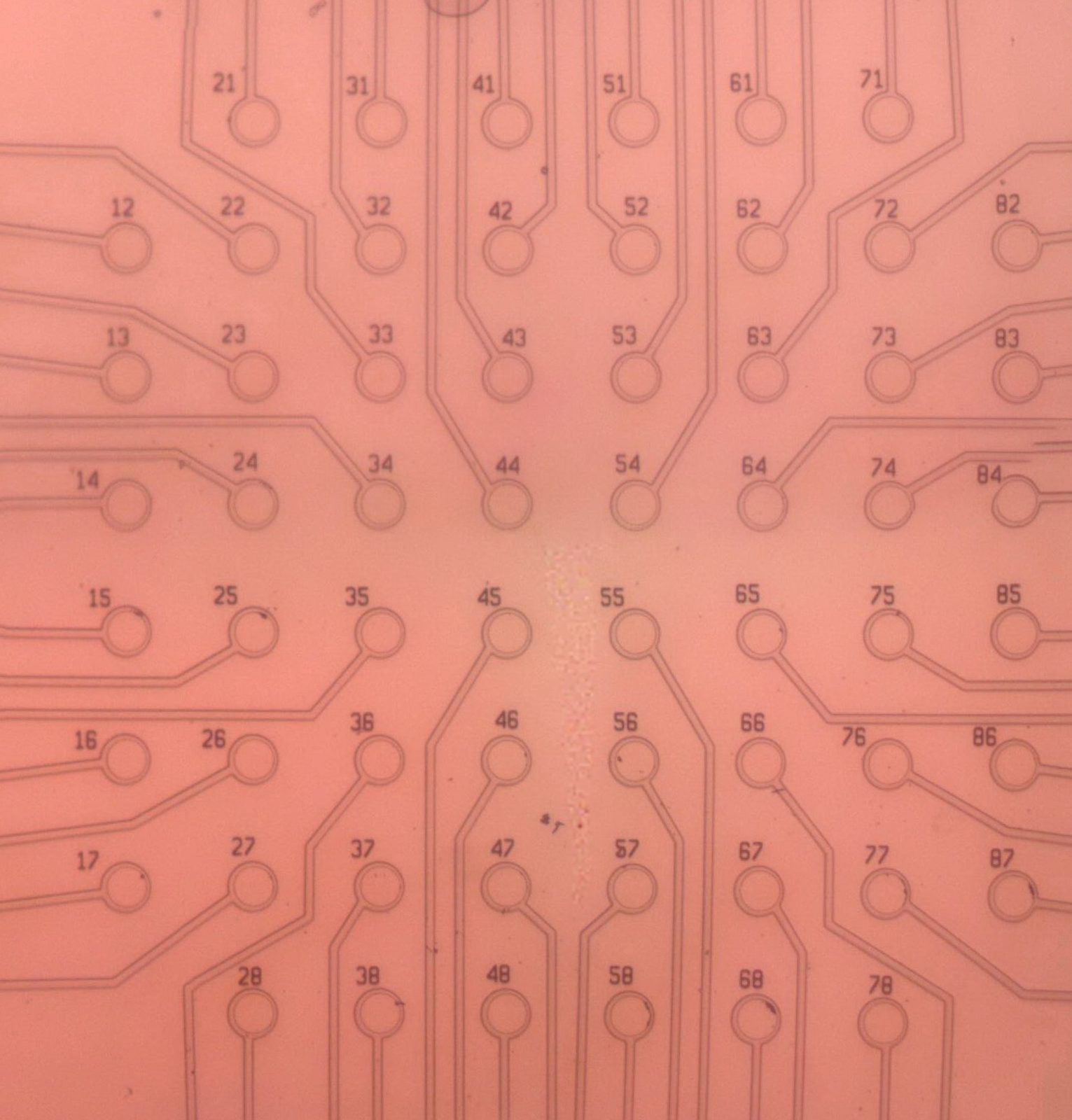 Optically transparent recording electrode array